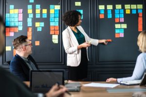 meaning of the word agile